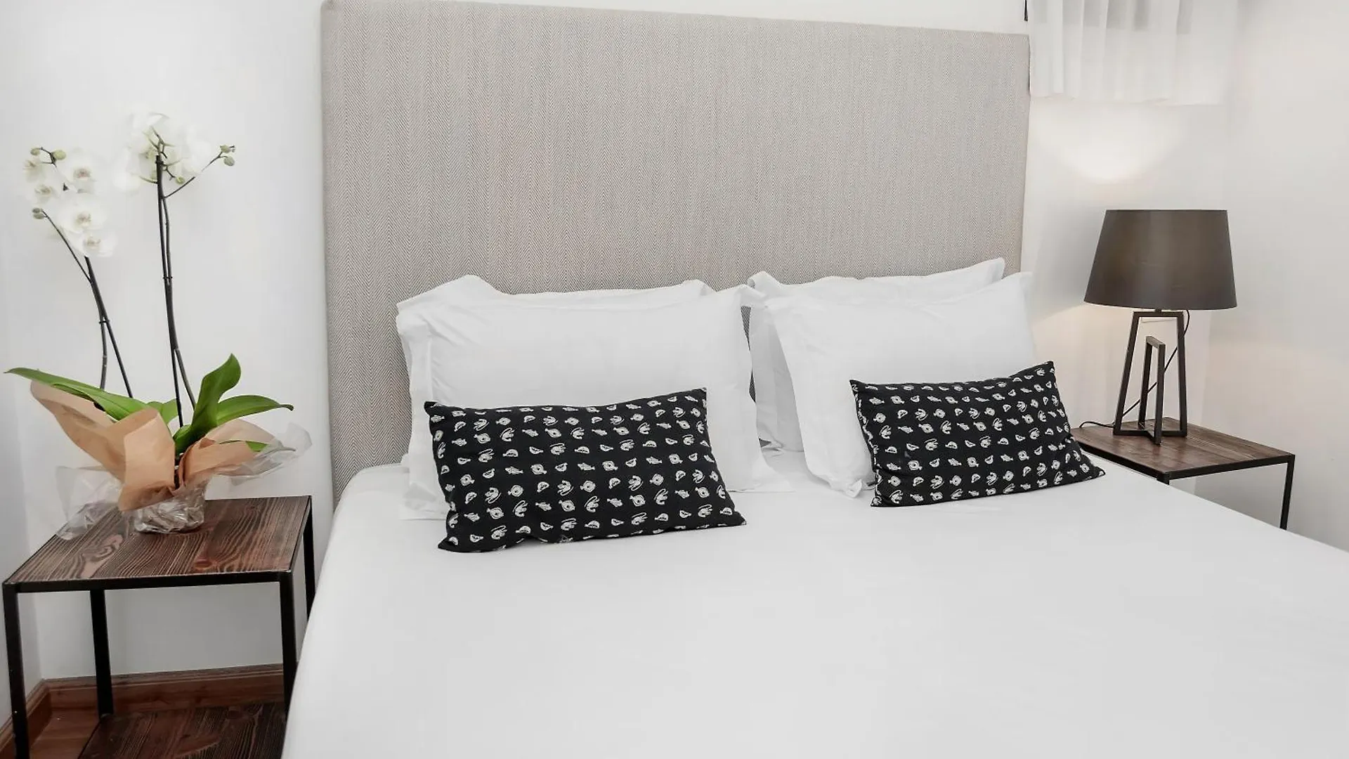 Suites Campo Del Principe Γρανάδα Διαμέρισμα